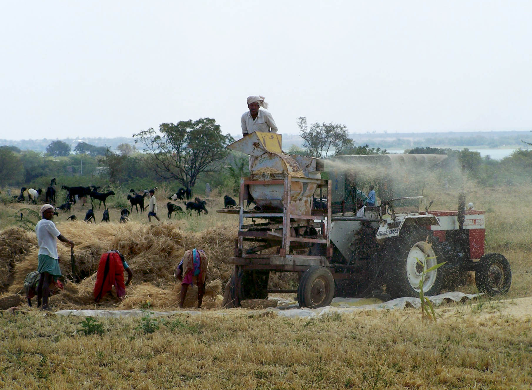 IKRI catalog of indigenous knowledge [credit: C. Biradar]