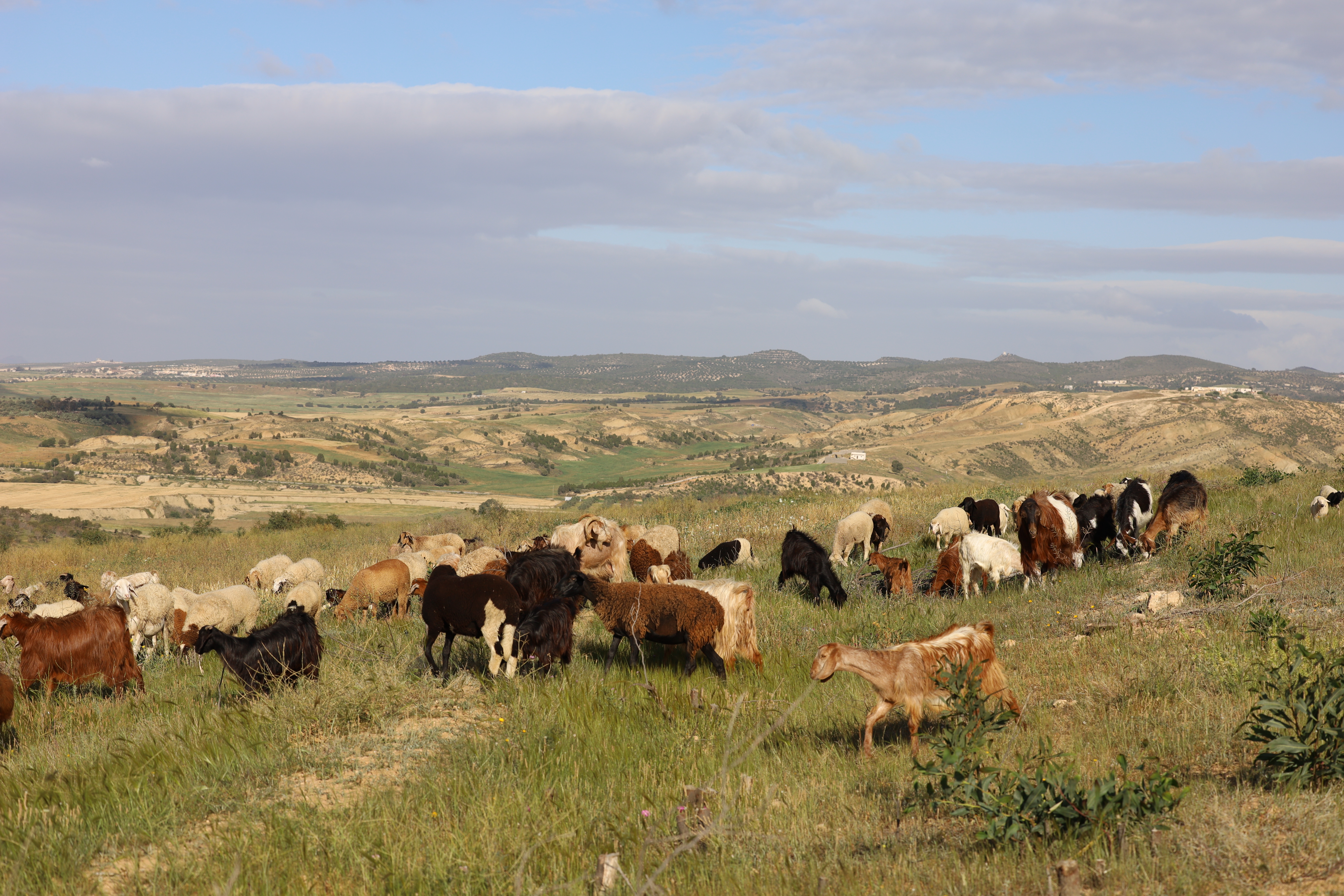 World Day to Combat Desertification and Drought 2024 World Day to Combat Desertification and Drought 2024