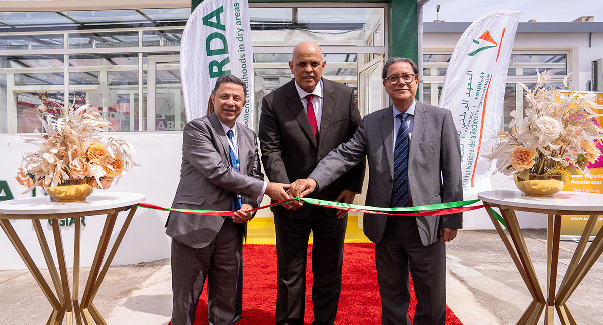 From Left to Right: Dr. Tareq Alzabet, ICARDA Board Chair; Dr. Redouane Arrach, Secretary General of the Ministry of Agriculture; Mr. Aly Abousabaa, ICARDA Director General From Left to Right: Dr. Tareq Alzabet, ICARDA Board Chair; Dr. Redouane Arrach, Secretary General of the Ministry of Agriculture; Mr. Aly Abousabaa, ICARDA Director General