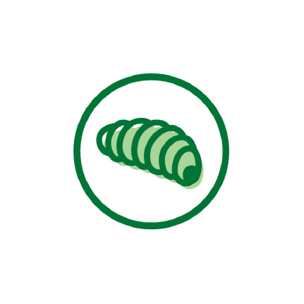 Icon image