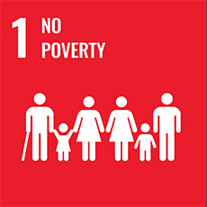 SDG