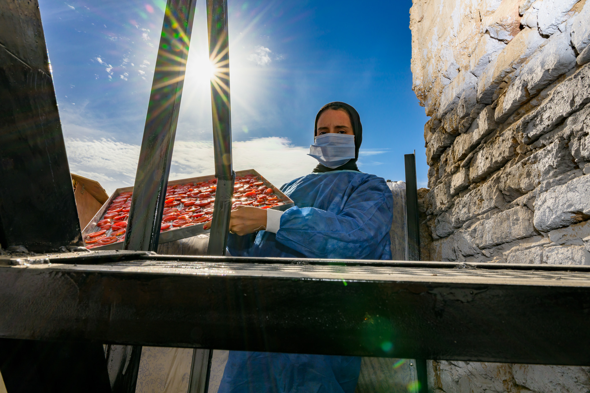 Tomato drying is one of the post-harvest processes for enhancing the crop value, better water usage, and better inclusion of female farmers in the production value chain | Qena, Egypt | Photo: Ahmed ElSheemy/ICARDA
