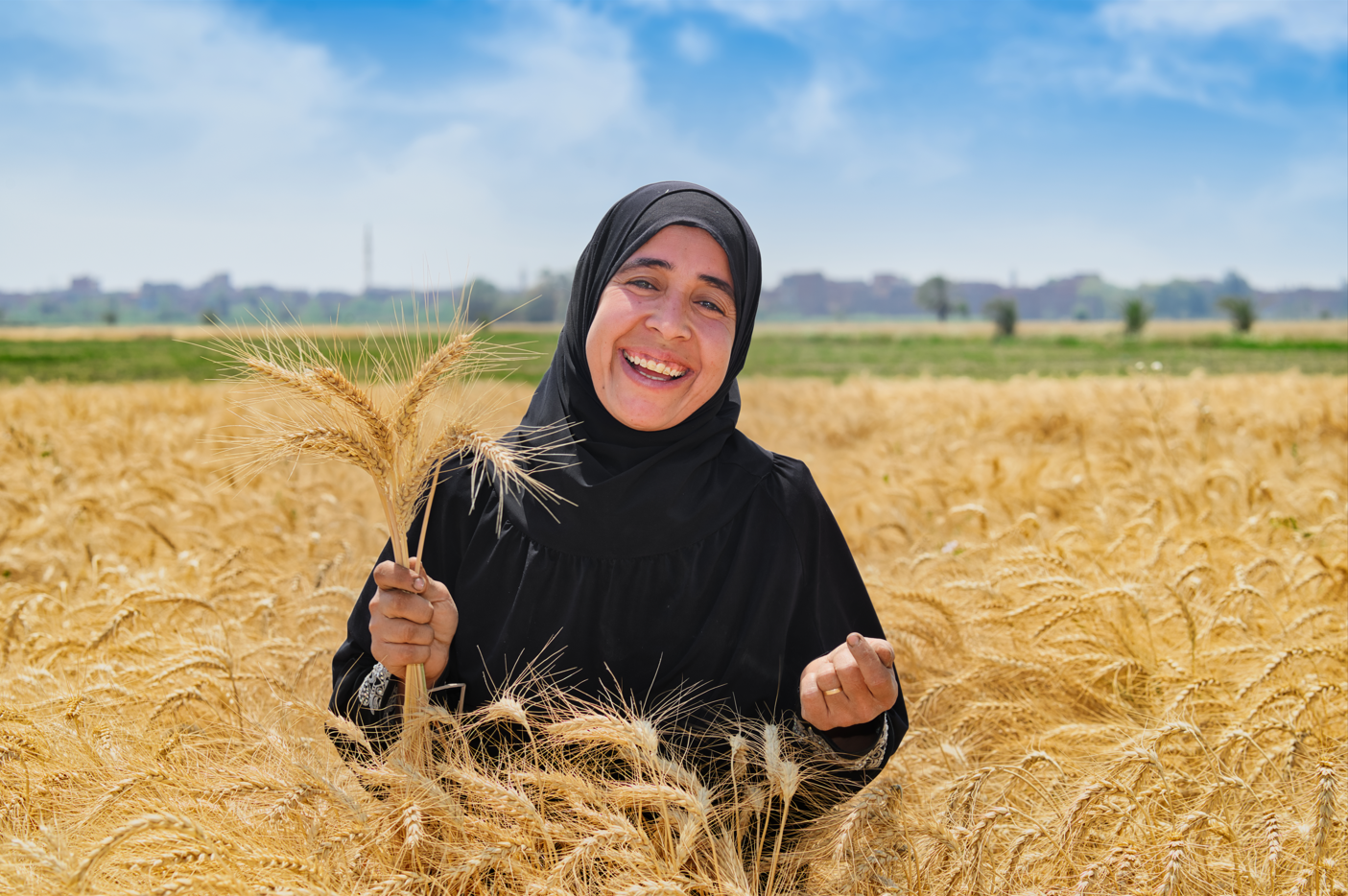 Egyptian farmer in a wheat field - Photo: Ahmed ElSheemy/ICARDA
