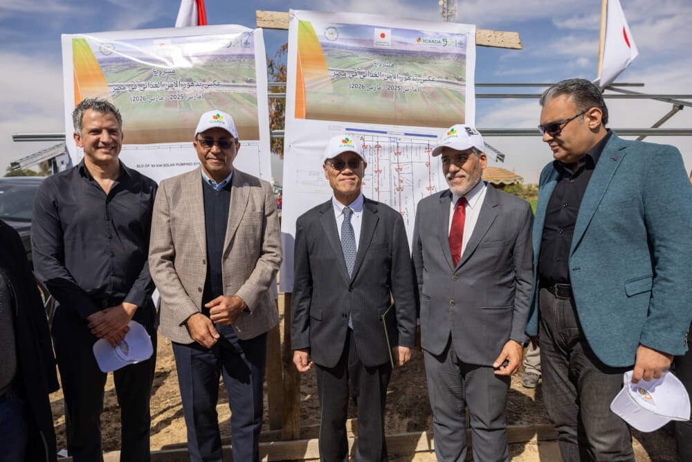 High-Level Visit Highlights Japan-Funded Solar Irrigation and Post-Harvest Innovations in Qena