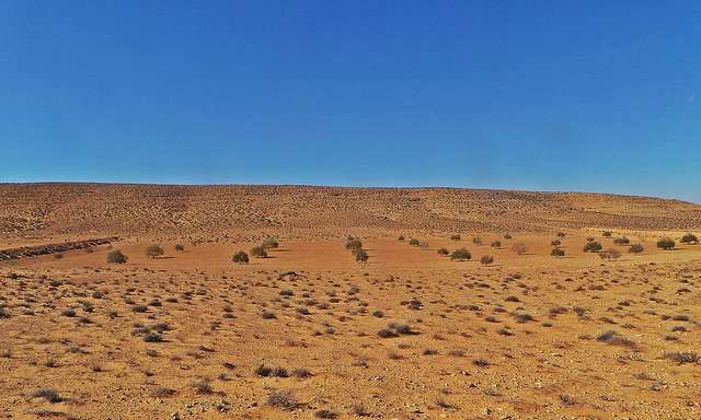 6a.jpg