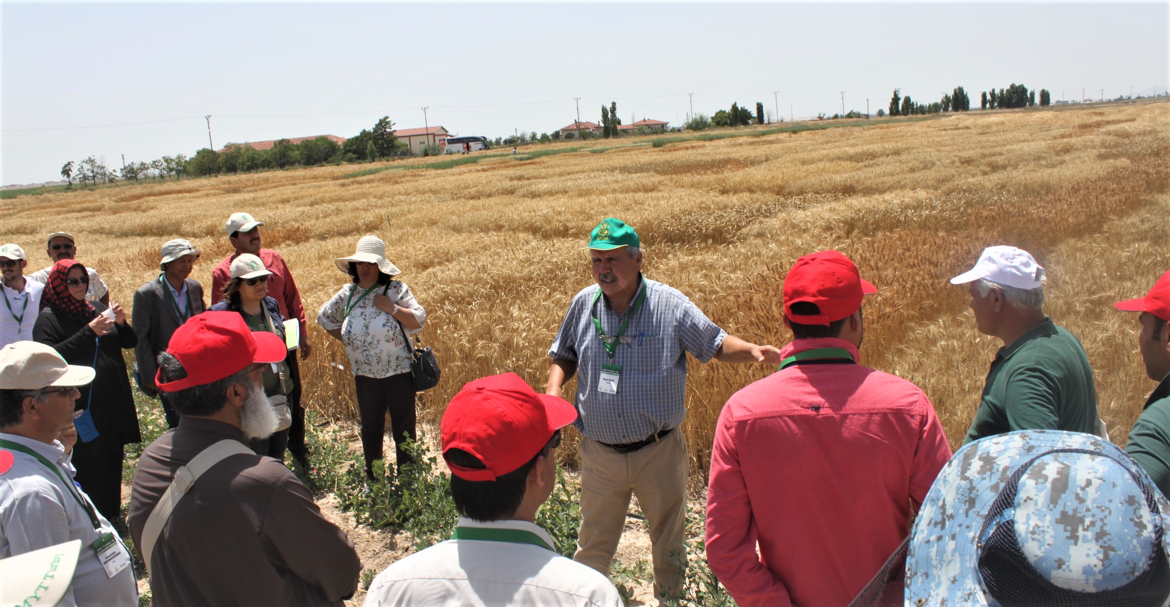 International scientists gather in Turkey for a traveling seminar to share the latest developments on winter wheat