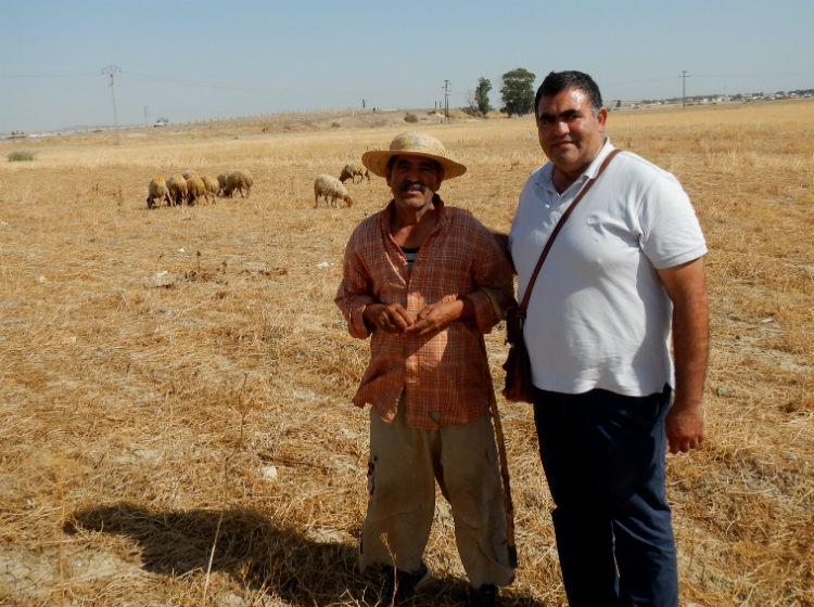 Revisiting Vetch with Farmers Promotes Zero-Till Practice