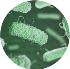 Key Image