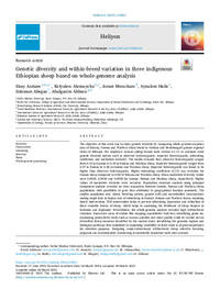 Genetic diversity and within-breed variation in three indigenous Ethiopian sheep based on whole-genome analysis Genetic diversity and within-breed variation in three indigenous Ethiopian sheep based on whole-genome analysis