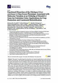 Functional Dissection of the Chickpea (Cicer arietinum L.) Stay-Green Phenotype Associated with Molecular Variation at an Ortholog of Mendel’s I Gene for Cotyledon Color: Implications for Crop Production and Carotenoid Biofortiﬁcation