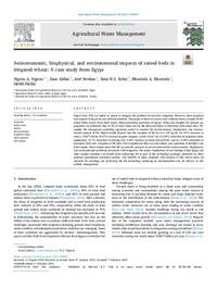 Socioeconomic, biophysical, and environmental impacts of raised beds in irrigated wheat: A case study from Egypt