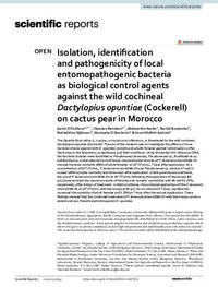 Isolation, identification and pathogenicity of local entomopathogenic bacteria as biological control agents against the wild cochineal Dactylopius opuntiae (Cockerell) on cactus pear in Morocco Isolation, identification and pathogenicity of local entomopathogenic bacteria as biological control agents against the wild cochineal Dactylopius opuntiae (Cockerell) on cactus pear in Morocco
