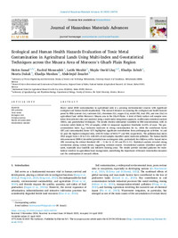 Ecological and Human Health Hazards Evaluation of Toxic Metal Contamination in Agricultural Lands Using Multi-Index and Geostatistical Techniques across the Mnasra Area of Morocco's Gharb Plain Region