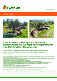 Potential Of Water Harvesting as a Strategic Tool for Resilience, Sustainable Livelihoods, and Drought Mitigation in the Olive Farming System in Palestine Potential Of Water Harvesting as a Strategic Tool for Resilience, Sustainable Livelihoods, and Drought Mitigation in the Olive Farming System in Palestine