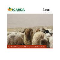 Year-round management of rams for successful reproduction Year-round management of rams for successful reproduction