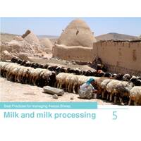Best Practices for Managing Awassi Sheep 5-Milk and Milk Processing Best Practices for Managing Awassi Sheep 5-Milk and Milk Processing