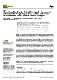 Dissection of the Genetic Basis of Genotype by Environment Interactions for Morphological Traits and Protein Content in Winter Wheat Panel Grown in Morocco and Spain Dissection of the Genetic Basis of Genotype by Environment Interactions for Morphological Traits and Protein Content in Winter Wheat Panel Grown in Morocco and Spain