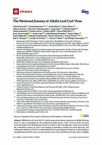 The Westward Journey of Alfalfa Leaf Curl Virus The Westward Journey of Alfalfa Leaf Curl Virus