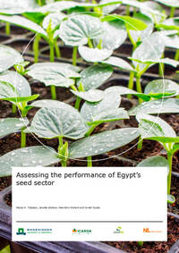 Assessing the Performance of Egypt's Seed Sector Assessing the Performance of Egypt's Seed Sector