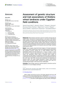 Assessment of genetic structure and trait associations of Watkins wheat landraces under Egyptian field conditions Assessment of genetic structure and trait associations of Watkins wheat landraces under Egyptian field conditions