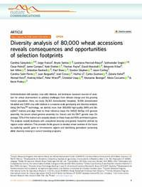 Diversity analysis of 80,000 wheat accessions reveals consequences and opportunities of selection footprints Diversity analysis of 80,000 wheat accessions reveals consequences and opportunities of selection footprints