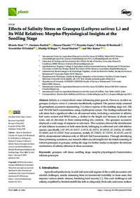 Effects of Salinity Stress on Grasspea (Lathyrus sativus L.) and Its Wild Relatives: Morpho-Physiological Insights at the Seedling Stage Effects of Salinity Stress on Grasspea (Lathyrus sativus L.) and Its Wild Relatives: Morpho-Physiological Insights at the Seedling Stage