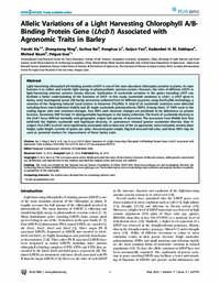 Allelic Variations Of A Light Harvesting Chlorophyll A/B-Binding Protein Gene (Lhcb1) Associated With Agronomic Traits In Barley Allelic Variations Of A Light Harvesting Chlorophyll A/B-Binding Protein Gene (Lhcb1) Associated With Agronomic Traits In Barley
