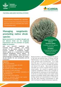Managing rangelands: promoting native shrub species: Bassia prostrata (L.): A resilient drought and salt tolerant shrub use for rangeland improvement and for provision of quality fodder for livestock Managing rangelands: promoting native shrub species: Bassia prostrata (L.): A resilient drought and salt tolerant shrub use for rangeland improvement and for provision of quality fodder for livestock