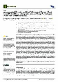 Assessment of Drought and Heat Tolerance of Durum Wheat Lines Derived from Interspecific Crosses Using Physiological Parameters and Stress Indices