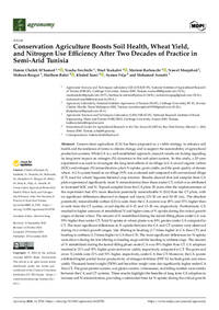 Conservation Agriculture Boosts Soil Health, Wheat Yield, and Nitrogen Use Efficiency After Two Decades of Practice in Semi-Arid Tunisia