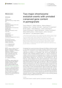 Two major chromosome evolution events with unrivaled conserved gene content in pomegranate Two major chromosome evolution events with unrivaled conserved gene content in pomegranate