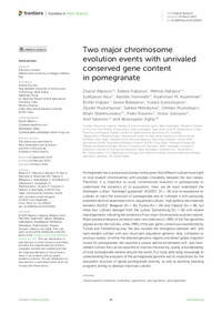 Two major chromosome evolution events with unrivaled conserved gene content in pomegranate