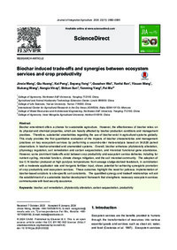 Biochar induced trade-offs and synergies between ecosystem services and crop productivity
