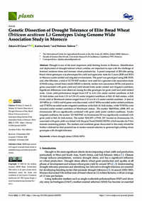 Genetic Dissection of Drought Tolerance of Elite Bread Wheat (Triticum aestivum L.) Genotypes Using Genome Wide Association Study in Morocco