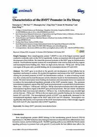 Characteristics of the BMP7 Promoter in Hu Sheep Characteristics of the BMP7 Promoter in Hu Sheep
