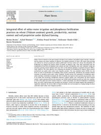 Integrated effect of saline water irrigation and phosphorus fertilization practices on wheat (Triticum aestivum) growth, productivity, nutrient content and soil proprieties under dryland farming Integrated effect of saline water irrigation and phosphorus fertilization practices on wheat (Triticum aestivum) growth, productivity, nutrient content and soil proprieties under dryland farming