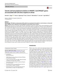 Genetic and transcriptional variations in NRAMP‑2 and OPAQUE1 genes are associated with salt stress response in wheat.