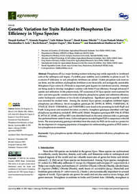 Genetic Variation for Traits Related to Phosphorus Use Efficiency in Vigna Species Genetic Variation for Traits Related to Phosphorus Use Efficiency in Vigna Species