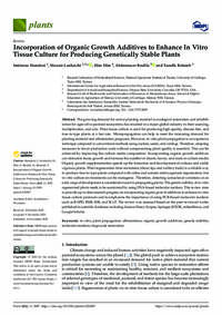Incorporation of Organic Growth Additives to Enhance In Vitro Tissue Culture for Producing Genetically Stable Plants Incorporation of Organic Growth Additives to Enhance In Vitro Tissue Culture for Producing Genetically Stable Plants