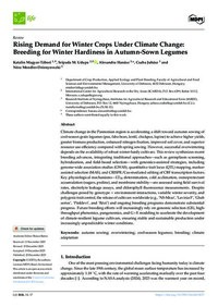 Screening bread wheat (Triticum aestivum L.) genotypes for yellow rust resistance and grain yield performance