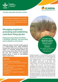 Managing rangelands: promoting and establishing sand dune fixing species: Stipagrostis pungens (Desf.) De Winter: a xerophytic quicksand- and dune-fixing species adapted to sandy deserts Managing rangelands: promoting and establishing sand dune fixing species: Stipagrostis pungens (Desf.) De Winter: a xerophytic quicksand- and dune-fixing species adapted to sandy deserts