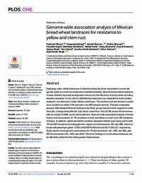 Genome-wide association analysis of Mexican bread wheat landraces for resistance to yellow and stem rust Genome-wide association analysis of Mexican bread wheat landraces for resistance to yellow and stem rust