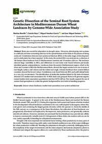Genetic Dissection of the Seminal Root System Architecture in Mediterranean Durum Wheat Landraces by Genome-Wide Association Study Genetic Dissection of the Seminal Root System Architecture in Mediterranean Durum Wheat Landraces by Genome-Wide Association Study
