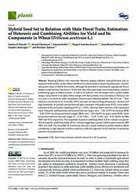 Hybrid Seed Set in Relation with Male Floral Traits, Estimation of Heterosis and Combining Abilities for Yield and Its Components in Wheat (Triticum aestivum L.)