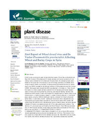 First Report Of Wheat Dwarf Virus And Its Vector (Psammotettix Provincialis) Affecting Wheat And Barley Crops In Syria First Report Of Wheat Dwarf Virus And Its Vector (Psammotettix Provincialis) Affecting Wheat And Barley Crops In Syria