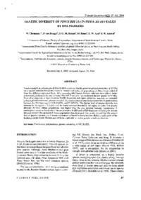 Genetic diversity of Pinus brutia in Syria as revealed by DNA markers