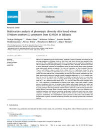 Multivariate analysis of phenotypic diversity elite bread wheat (Triticum aestivum L.) genotypes from ICARDA in Ethiopia Multivariate analysis of phenotypic diversity elite bread wheat (Triticum aestivum L.) genotypes from ICARDA in Ethiopia