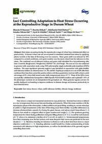 Loci Controlling Adaptation to Heat Stress Occurring at the Reproductive Stage in Durum Wheat Loci Controlling Adaptation to Heat Stress Occurring at the Reproductive Stage in Durum Wheat