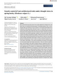 Genetic control of root architectural traits under drought stress in spring barley (Hordeum vulgare L.) Genetic control of root architectural traits under drought stress in spring barley (Hordeum vulgare L.)