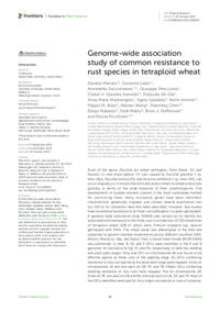 Genome-wide association study of common resistance to rust species in tetraploid wheat Genome-wide association study of common resistance to rust species in tetraploid wheat